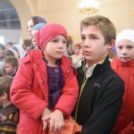 Хиротония архимандрита Гермогена (Серого)